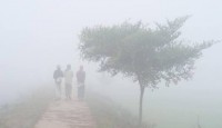 নওগাঁয় শৈত্যপ্রবাহ অব্যাহত, তাপমাত্রা ৯....